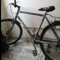 معاوضه دوچرخه دماوند با پرنده زینتی یا... به قیمت