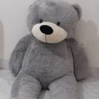 خرس بزرگ