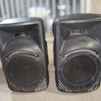 باند اسپیکر پسیو جعبه فایبر گلاس ۱۲ اینچ