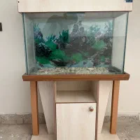 آکواریوم با لوازم کامل