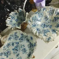 ظروف پذیرایی نوسالم مناسب جهزیه