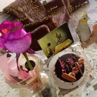 عروس هلندی گم شده