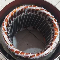 تعمیرسیم پیچی ژنراتوربرق،موتور برق سرویس تعمیرکولر|خدمات پیشه و مهارت|ری, شهرری|دیوار