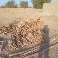 سلام هیزم خشک وابسته بندی شده