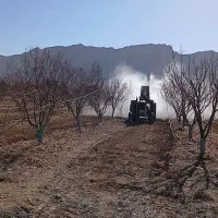 کارشناسی باغ و باغچه