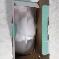 دوربین چرخشی|دوربین مداربسته|یزد, |دیوار