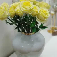 گل های جاودان بدون پژمردگی