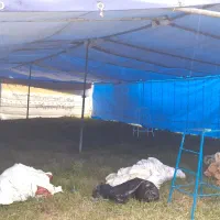 کرایه چادر عروسی مراسمی|خدمات پذیرایی، مراسم|اردبیل, |دیوار