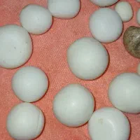 سنگ اسیاب قیمتی|جواهرات|بروجرد, |دیوار