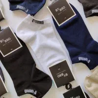 پخش عمده جوراب و لباس زیر مردانه|لباس|بانه, |دیوار