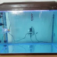 آکواریوم دلسا