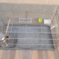 قفس حرفه ای غلامی در حد نو|لوازم جانبی حیوانات|شهرضا, |دیوار