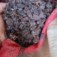 کشمش ابگیری