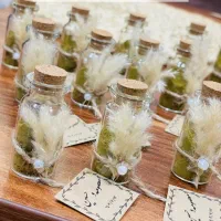 انواع گیفت حنابندون عقد عروسی وتولدوغیرع....|گل مصنوعی|قوچان, |دیوار