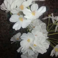 گل و گلدان نوی نو|گل مصنوعی|قزوین, |دیوار