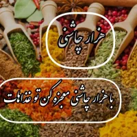 ادویه ترکیبی/طعم دهنده/چاشنی غذا/محصولات ارگانیک