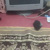 دوعددمانیتورال جی وسامسونگ