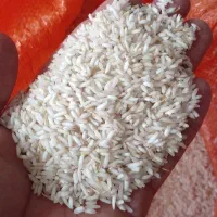 برنج|خوردنی و آشامیدنی|صومعه‌سرا, |دیوار