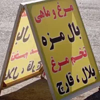 واگذاری مرغ ماهی