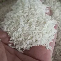 برنج هاشمی درجه یک لاهیجان