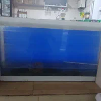 آکواریوم ۱ متری بزرگ