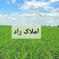 زمین کشاورزی/۲۸۰۰متر/حشمت اباد