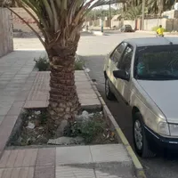 پژو 405 جی ال ایکس (GLX)، مدل ۱۳۸۵|خودرو سواری و وانت|بم, |دیوار