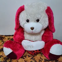 عروسک پولیشی بزرگ
