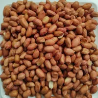 بادام هندی  کپسولی 4050|عمده‌فروشی|اصفهان, شهرک صنعتی جی|دیوار