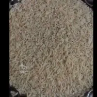 برنج طارم اصلی کشت دوم فقط10ک موجوده پست هم میشود