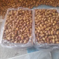 خرما تازه بلوچستان با ارزانترین قیمت به فروش میرود|عمدهفروشی|نشتارود, |دیوار