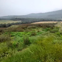 فروش مرغداری و جواز تاسیس مرغداری بهمراه زمین