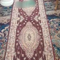 کناره زرشکی در دو طرح