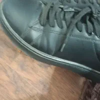 یک جفت کفش ونس در حد نو|کیف، کفش، کمربند|خواف, |دیوار