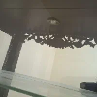 بوفه ویترین دار چوبی تاج دار و چراغ دار|بوفه، ویترین، کنسول|عسلویه, |دیوار