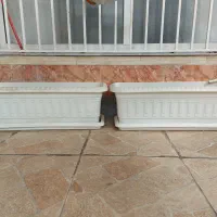 گلدان بزرگ|گل و گیاه طبیعی|اهواز, کوی باهنر|دیوار