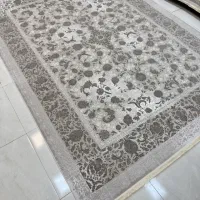 کلکسیون فرش موکا فروشگاه حدادی