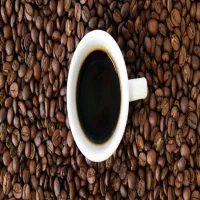 فروش دان قهوه-عربیکا-روبوستا-میکس