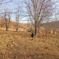 کیف پولم گمشده شده کارت ملیم