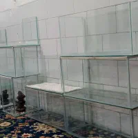 اکواریم