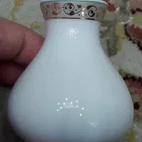 سرویس چینی زرین ارایه رومینا طلایی|ظروف سرو و پذیرایی|رشت, بلوار گیلان|دیوار