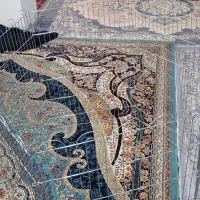 پارک سگ