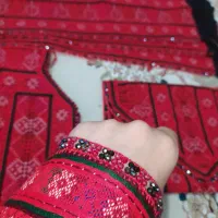 کریشی و سرتوپ در زیباشهر
