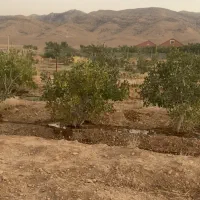 فروش