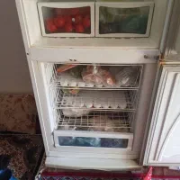 یخچال نیمه فریزر|یخچال و فریزر|قیدار, |دیوار