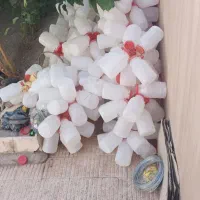 کلاته سیفر ی