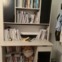 قفسه کتاب