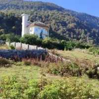 فروش زمین مسکونی ویو ابدی جنگل ده جدید