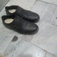 یک جفت کفش مرادنه سایر ۴۱