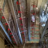 قفس منبری 3 طبقه